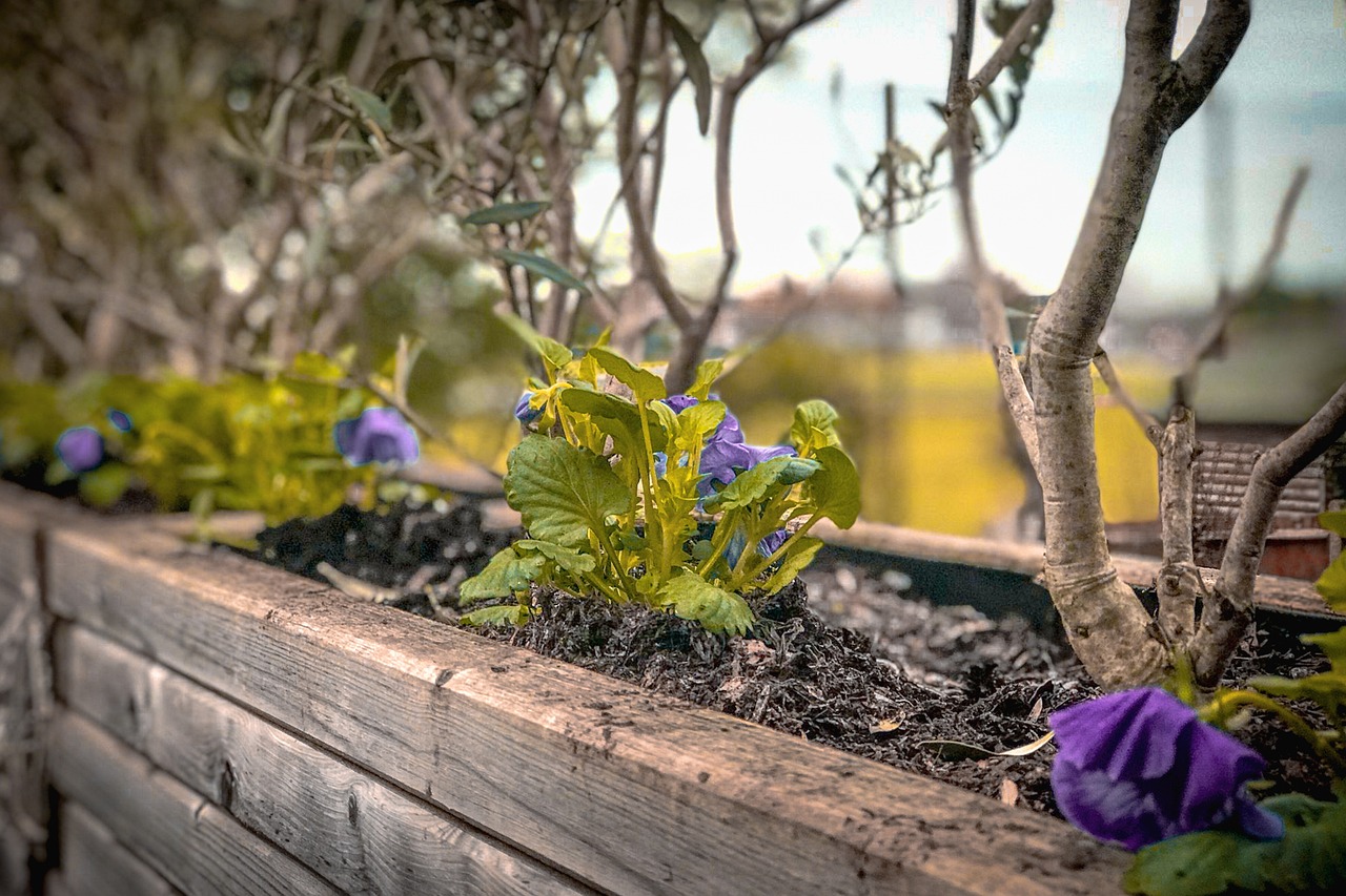 Floral bricks create small urban sanctuaries.