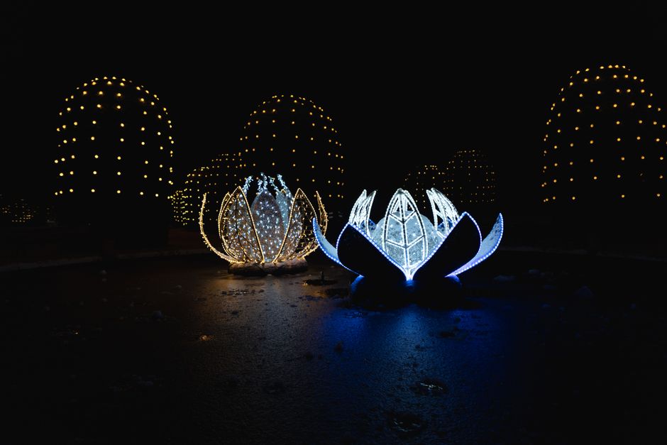 Zwevende LED spots highlight blooming garden features. Zwevende LED spots highlight blooming garden features.