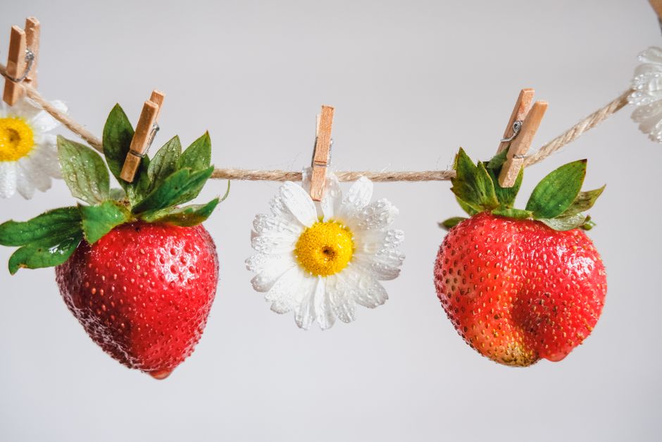 Edible wreaths made of autumn leaves. Edible wreaths made of autumn leaves.